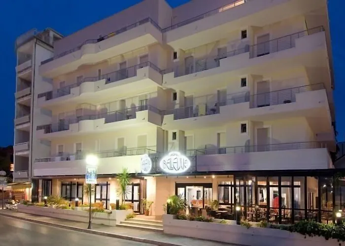 Bellevue فندق